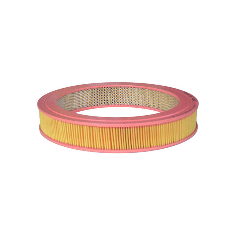 Air Filter - Ca4252 (Fram)