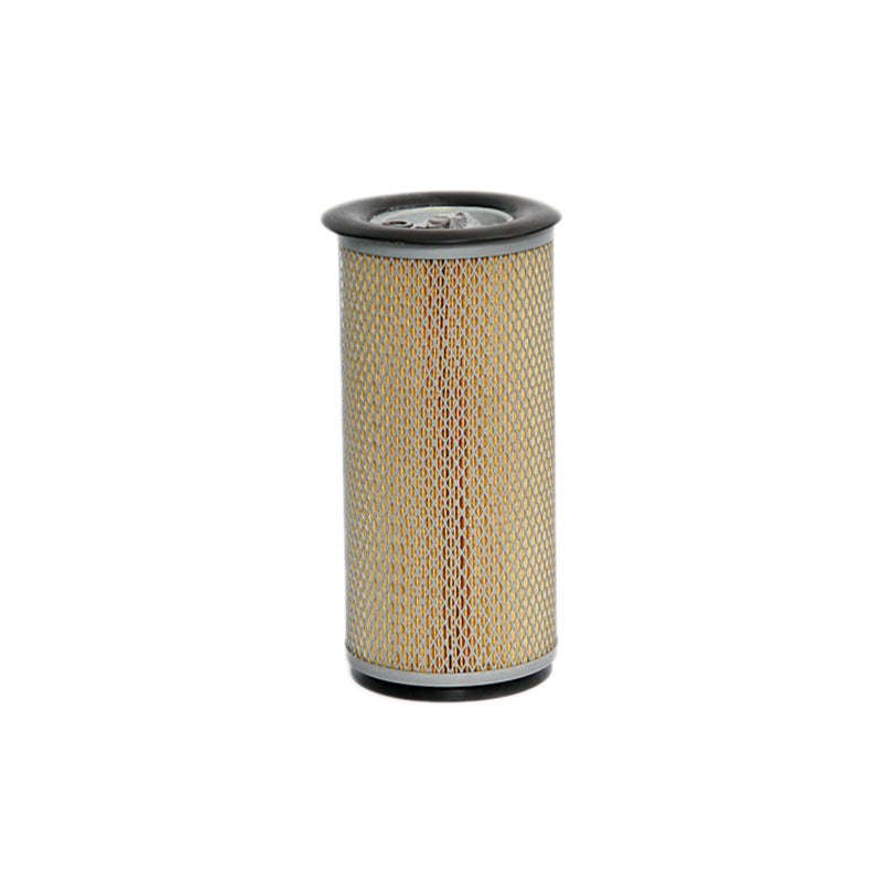 Air Filter - Ca4262 (Fram)