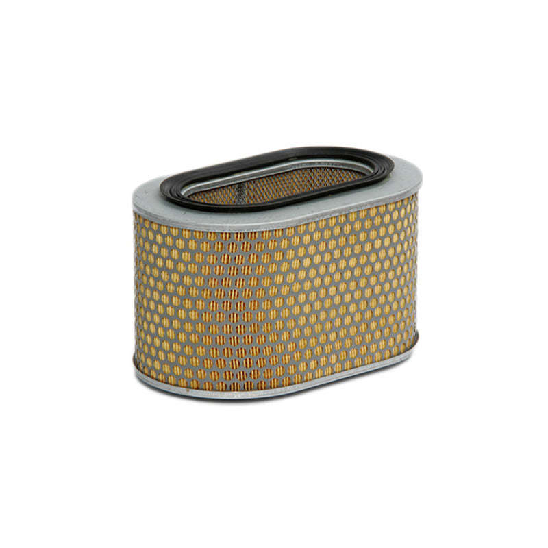 Air Filter - Ca4369 (Fram)