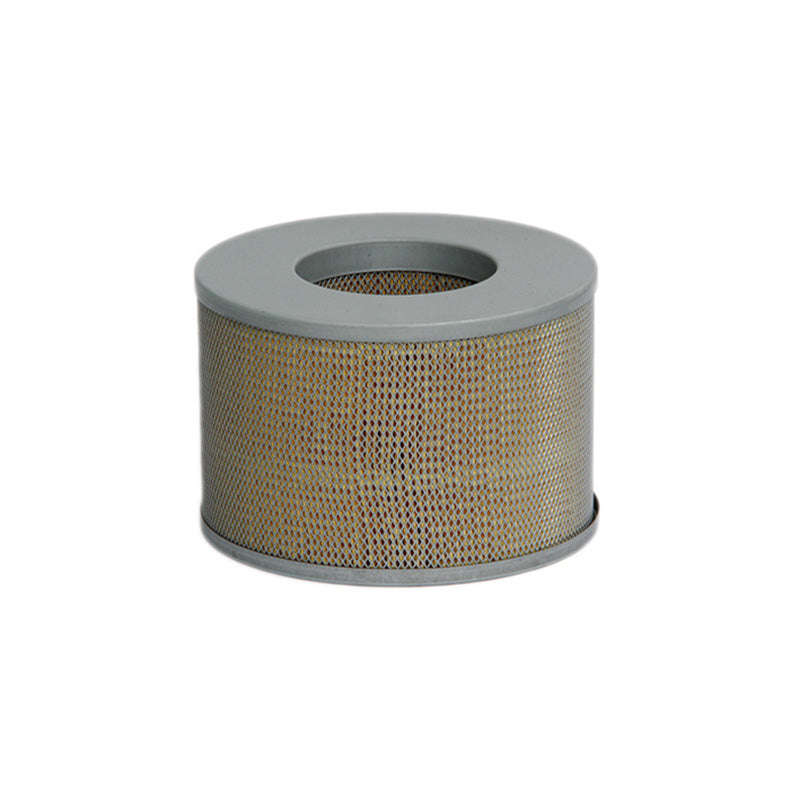 Air Filter - Ca5967 (Fram)