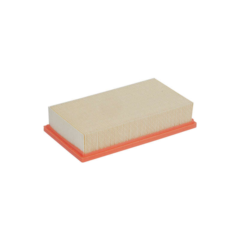 Air Filter - Ca8919 (Fram)