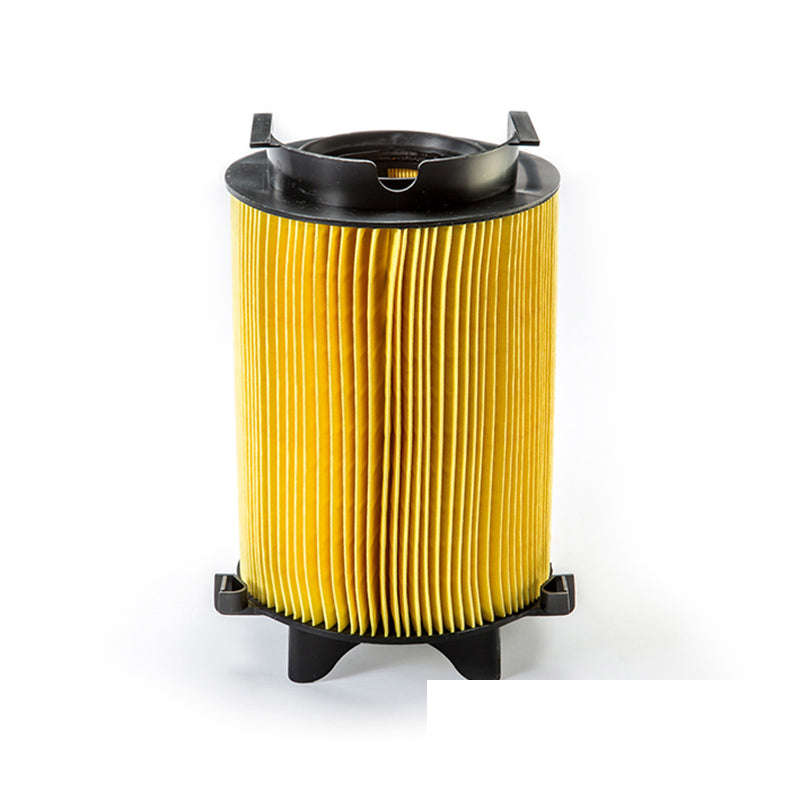 Air Filter - Ca9800 (Fram)