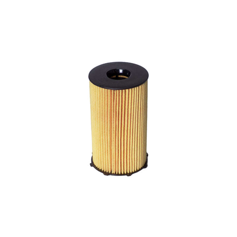 Fram Filter - M69Fr - Ch10035