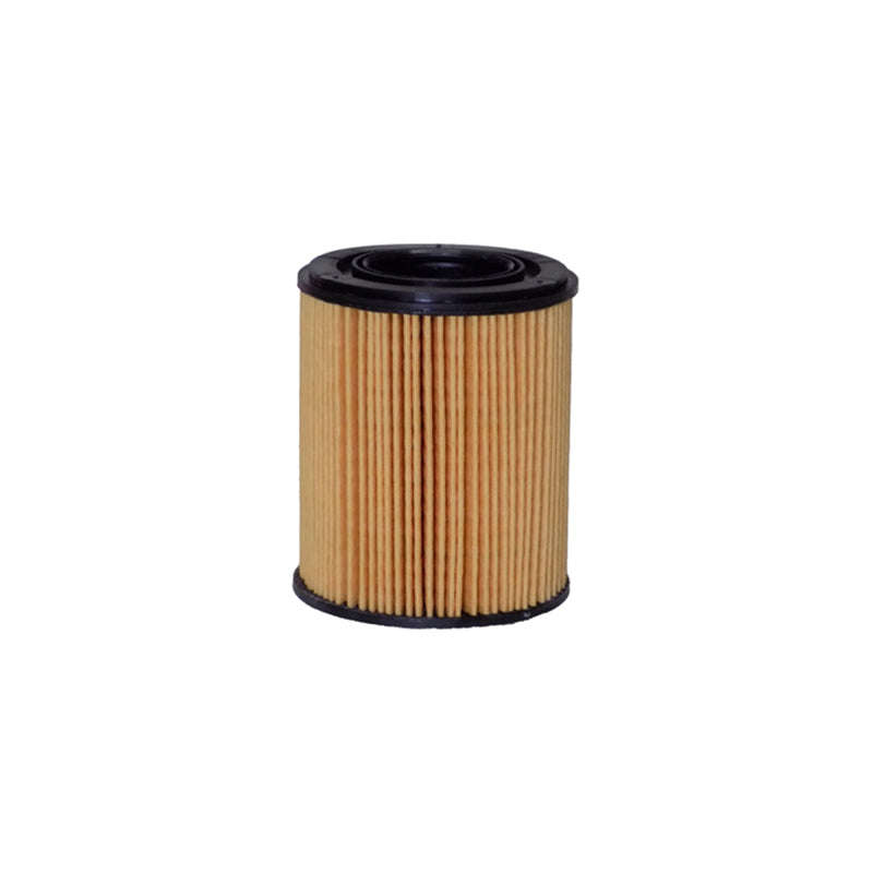 Oil Filter - Ch5976Eco (Fram)
