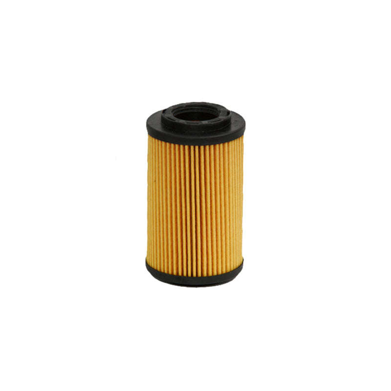Oil Filter - Ch9301Eco (Fram)
