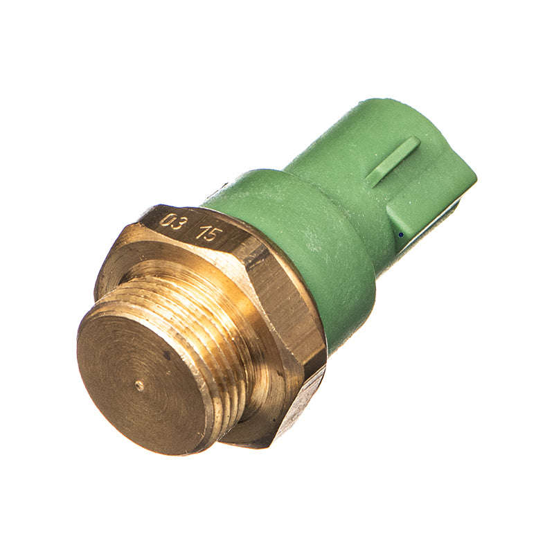 Fan Switch - Fs5131 (Doe)