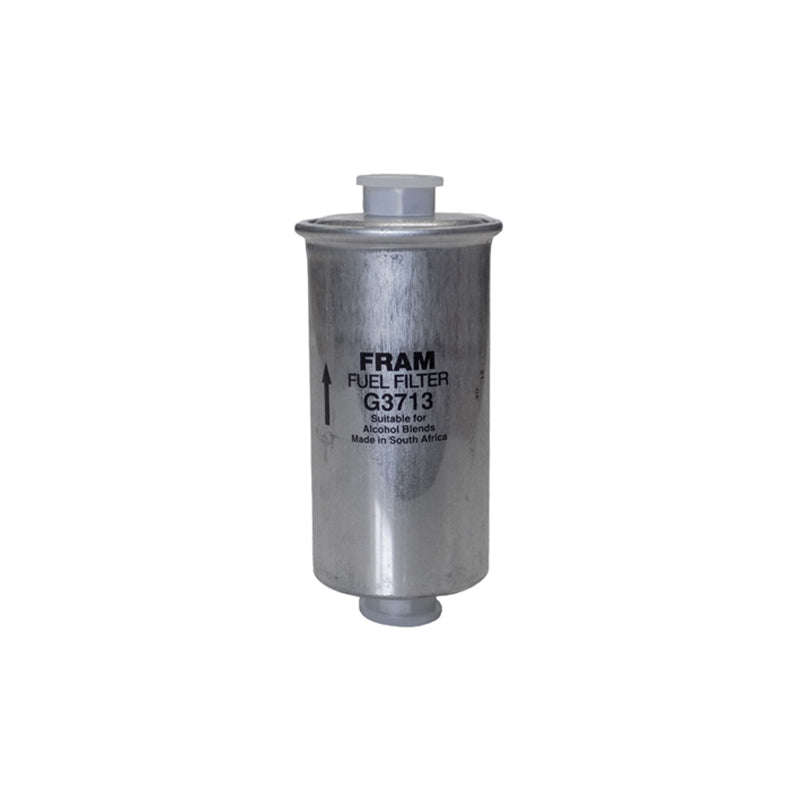 Petrol Filter - G3713 (Fram)