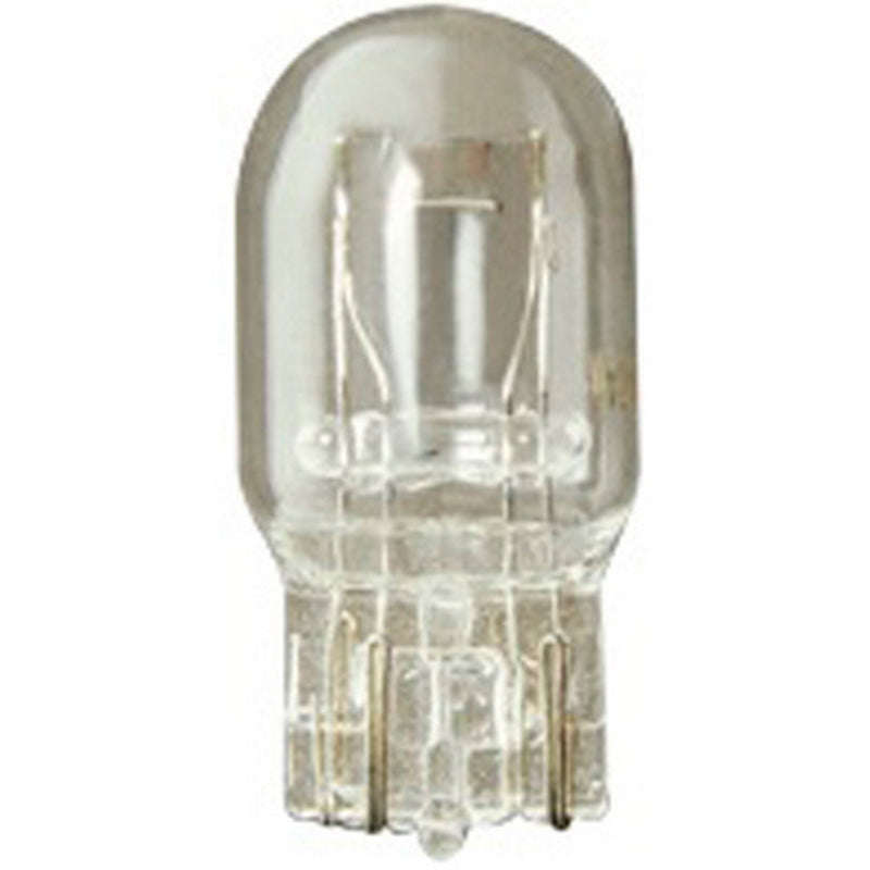 G580 12 Volt Double Contact Auto Light Bulb W21/5W - G580 (Beta)