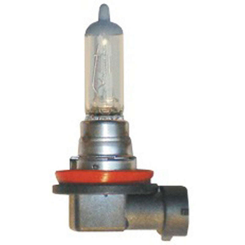 H8 12 Volt Halogen Lamp - Gh8 (Beta)