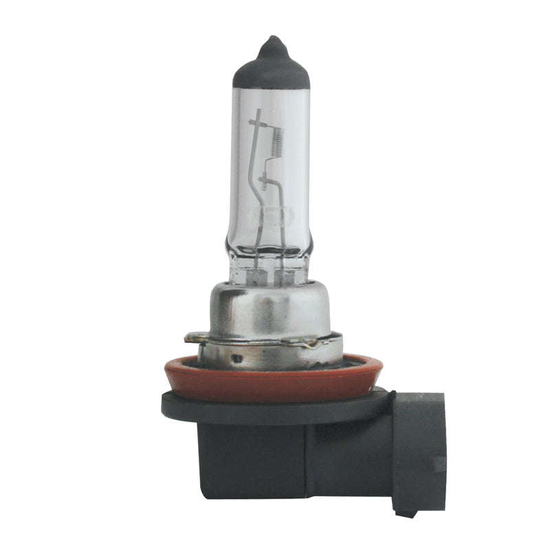 H11 12 Volt Halogen Lamp - Gh11 (Beta)