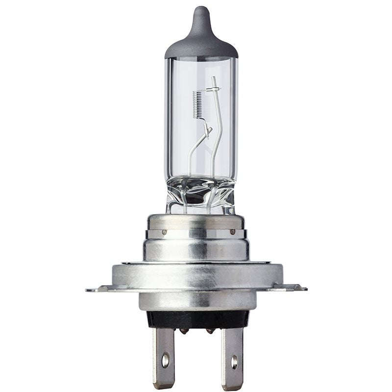 H7 12 Volt Halogen Lamp - Gh7-55 (Beta)