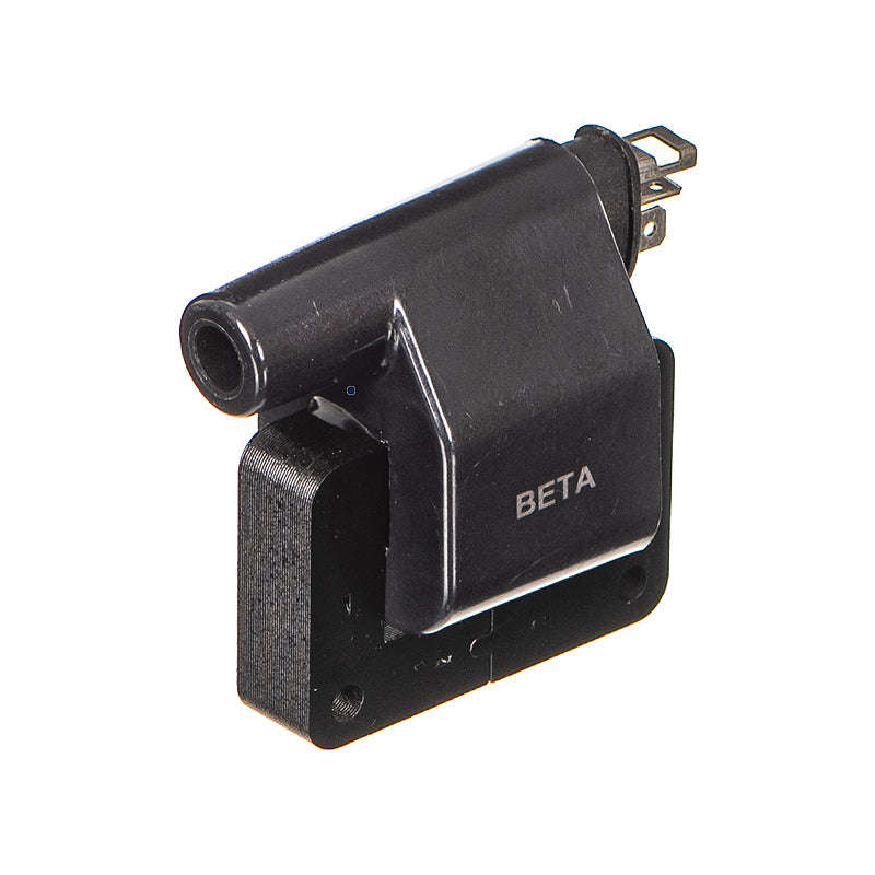 Electronic Ignition Coil - Ig2602 (Beta)