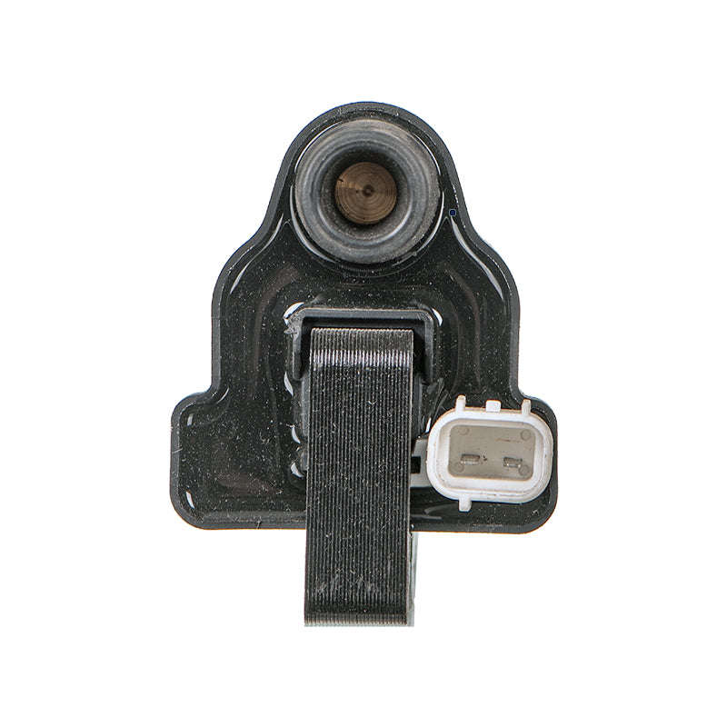 Electronic Ignition Coil - Ig6015 (Beta)