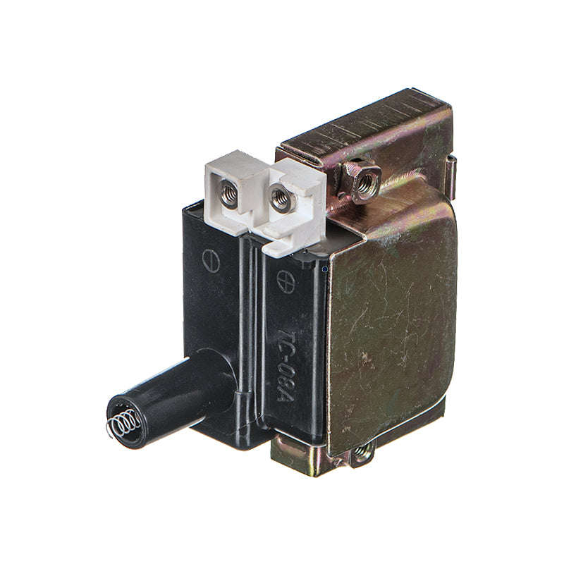 Electronic Ignition Coil - Ig6016 (Beta)