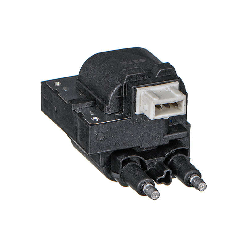 Electronic Ignition Coil Pack - Ig6019 (Beta)