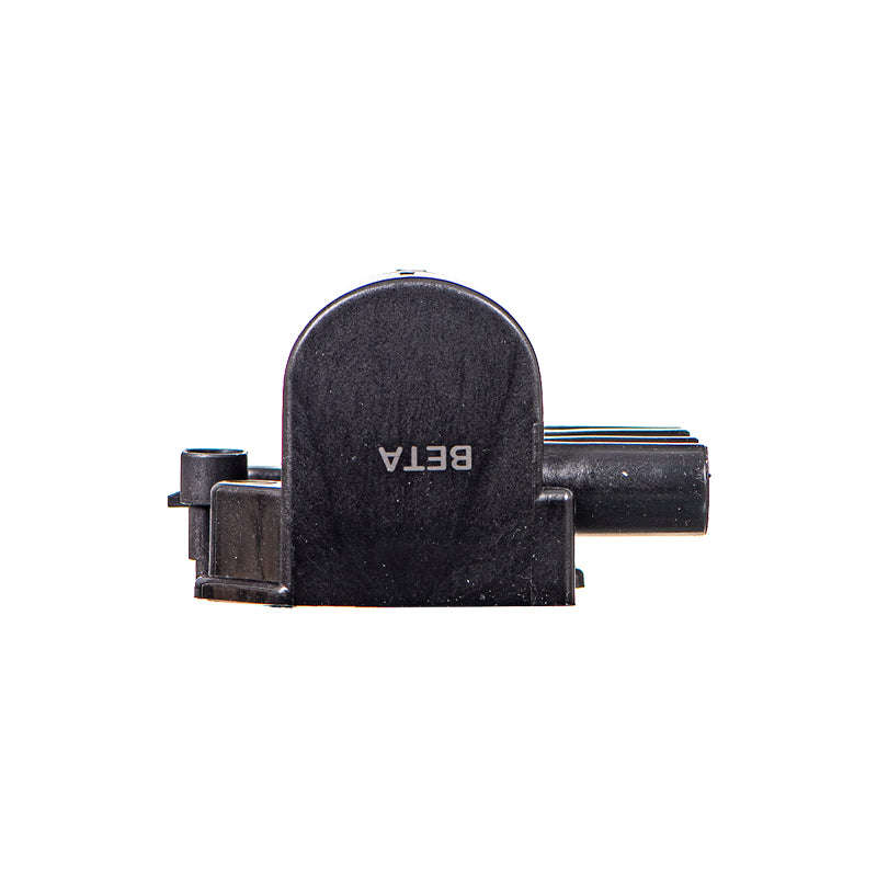 Electronic Ignition Coil Pack - Ig8005 (Beta)