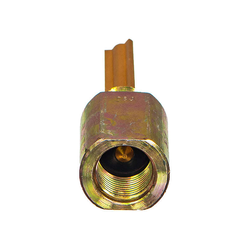 Brake Check Valve - Lbcv (Beta)