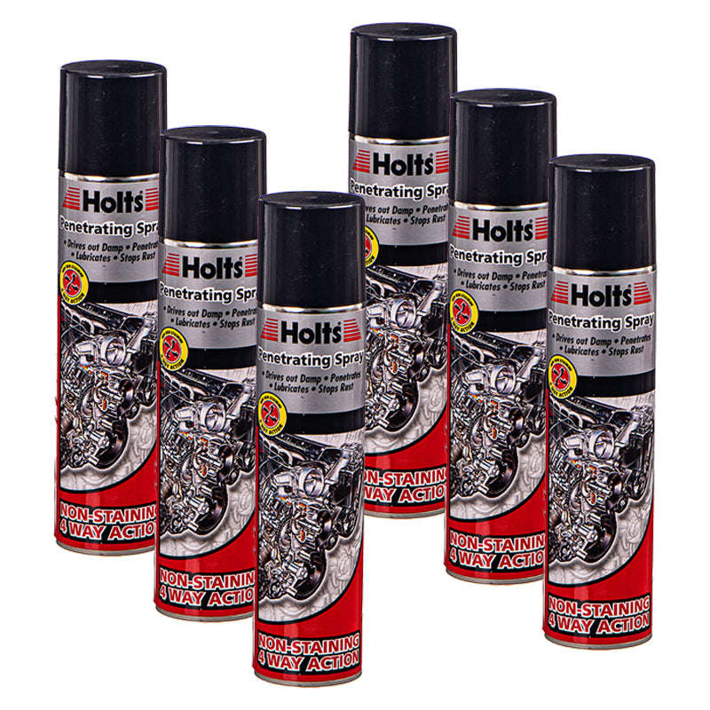 Holts Silicone Spray -350Ml -(Pack Size: 6 )