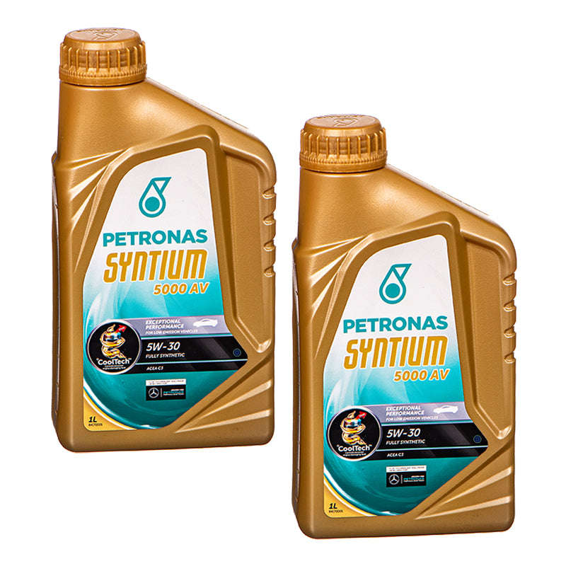 PETRONAS SYNTIUM 5000 AV 5W-30 (1L X 2)