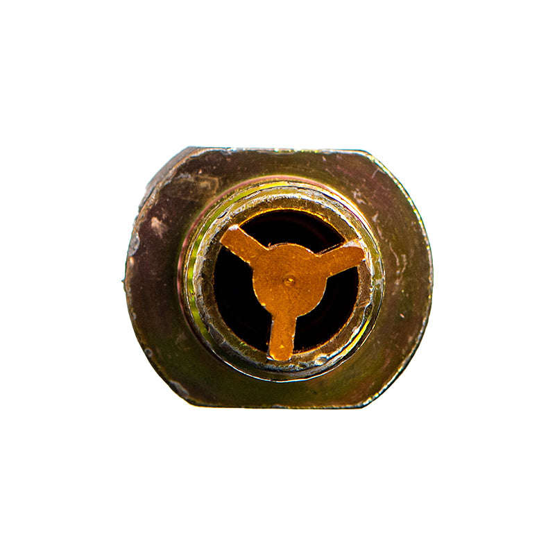 Brake Check Valve - Sbcv (Beta)