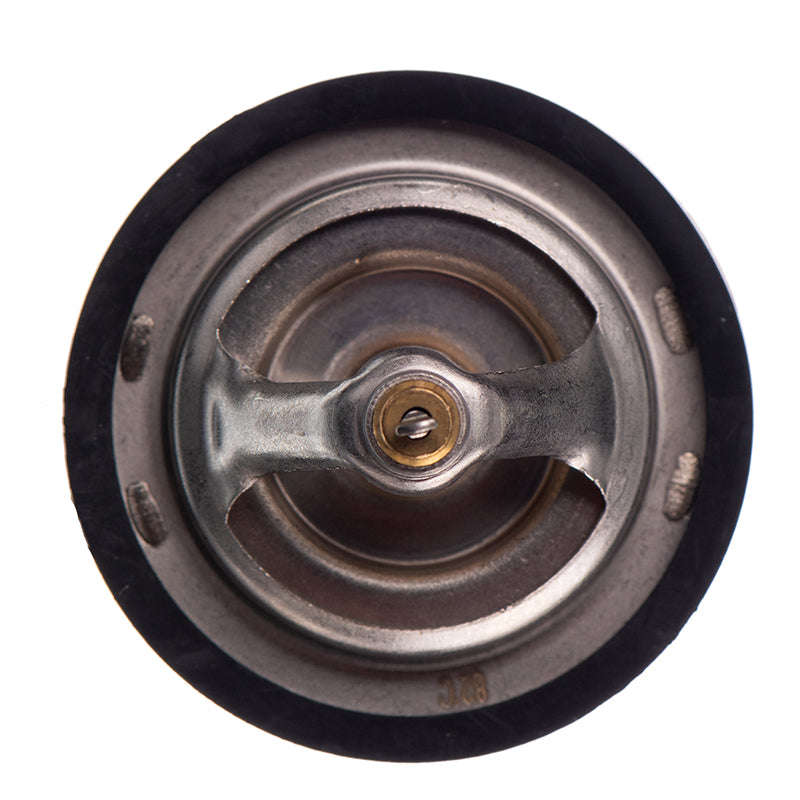 Thermostat - Tb4880 (Doe)