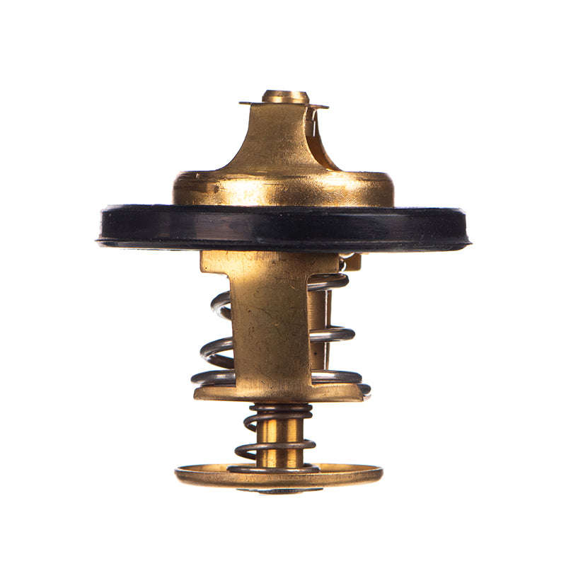 Thermostat - Tb4882 (Doe)