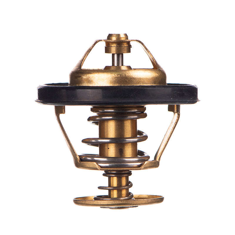 Thermostat - Tb4882 (Doe)