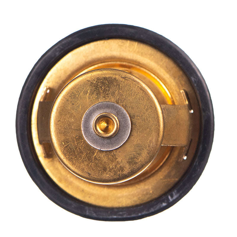 Thermostat - Tb4882 (Doe)