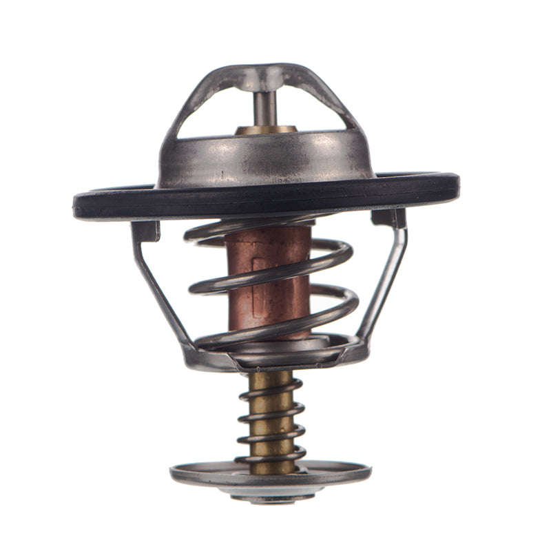 Thermostat - Tb5282 (Doe)