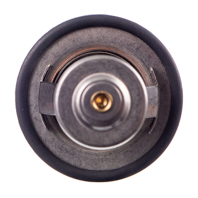 Thermostat - Tb5282 (Doe)