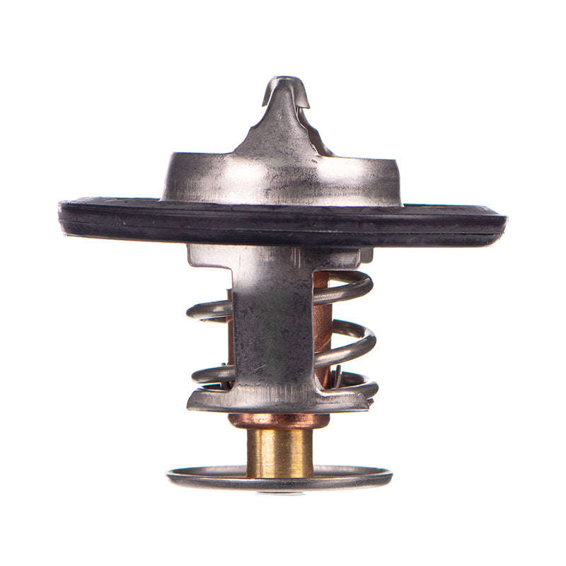 Thermostat - Tb5388 (Doe)