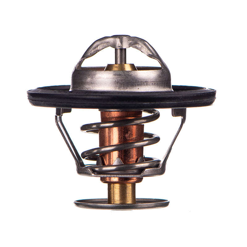 Thermostat - Tb5388 (Doe)