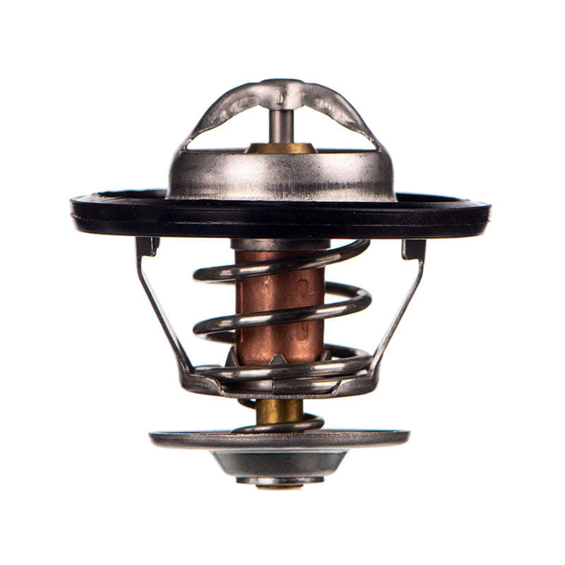THERMOSTAT - TB5480