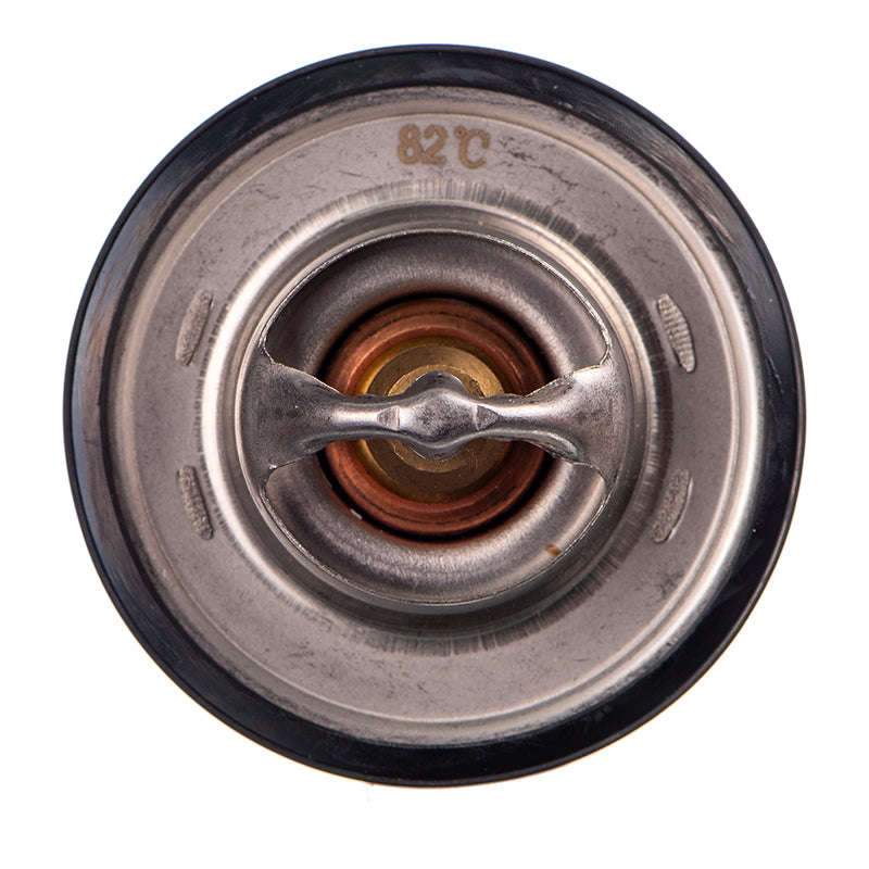 THERMOSTAT - TB5480