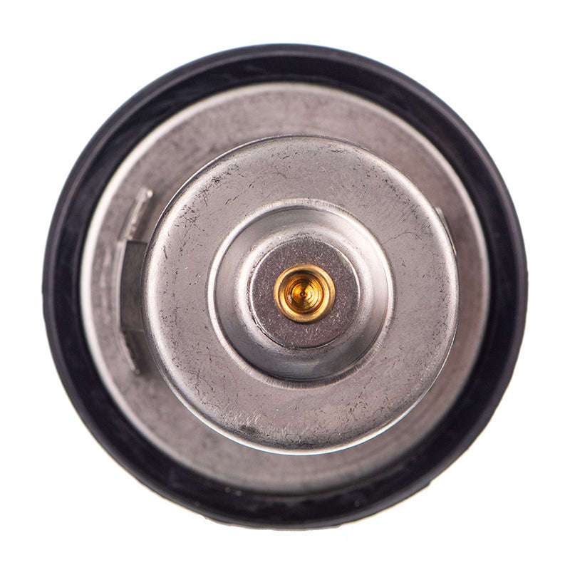 THERMOSTAT - TB5480