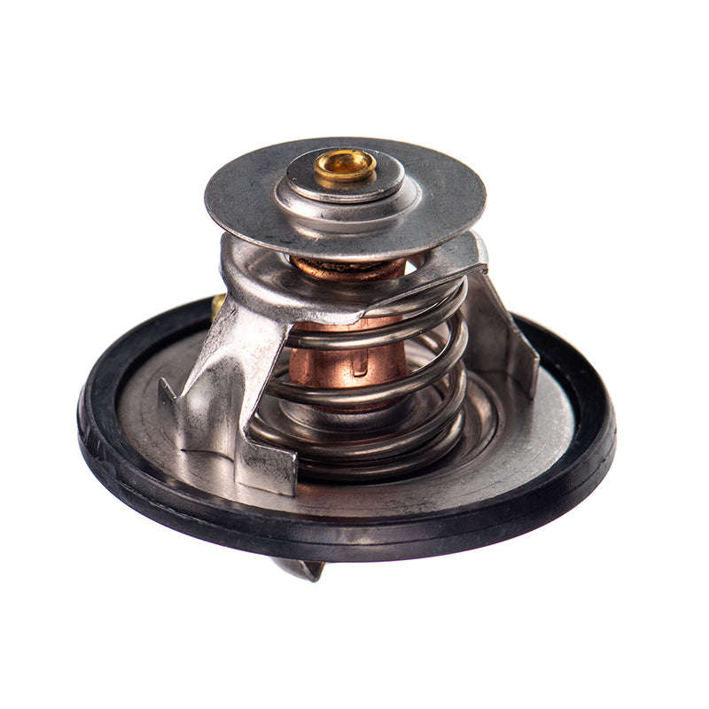 Thermostats - Tb5482 (Doe)