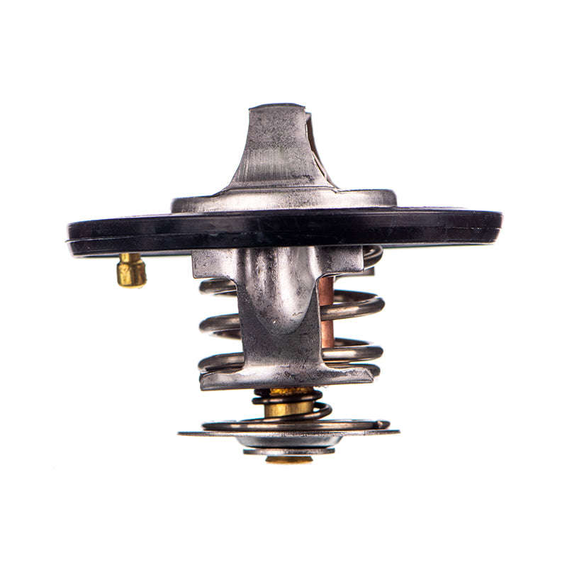 Thermostats - Tb5482 (Doe)