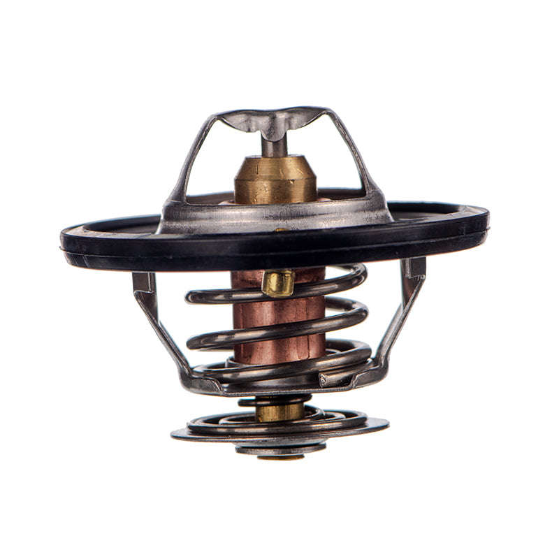 Thermostats - Tb5482 (Doe)