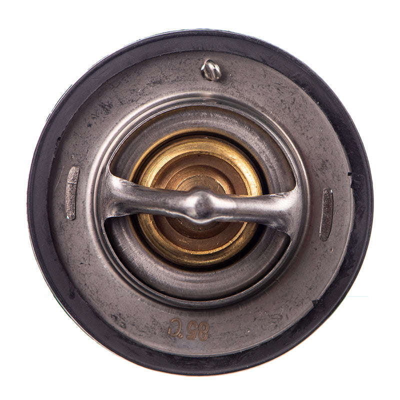 Thermostat - Tb5485 (Doe)