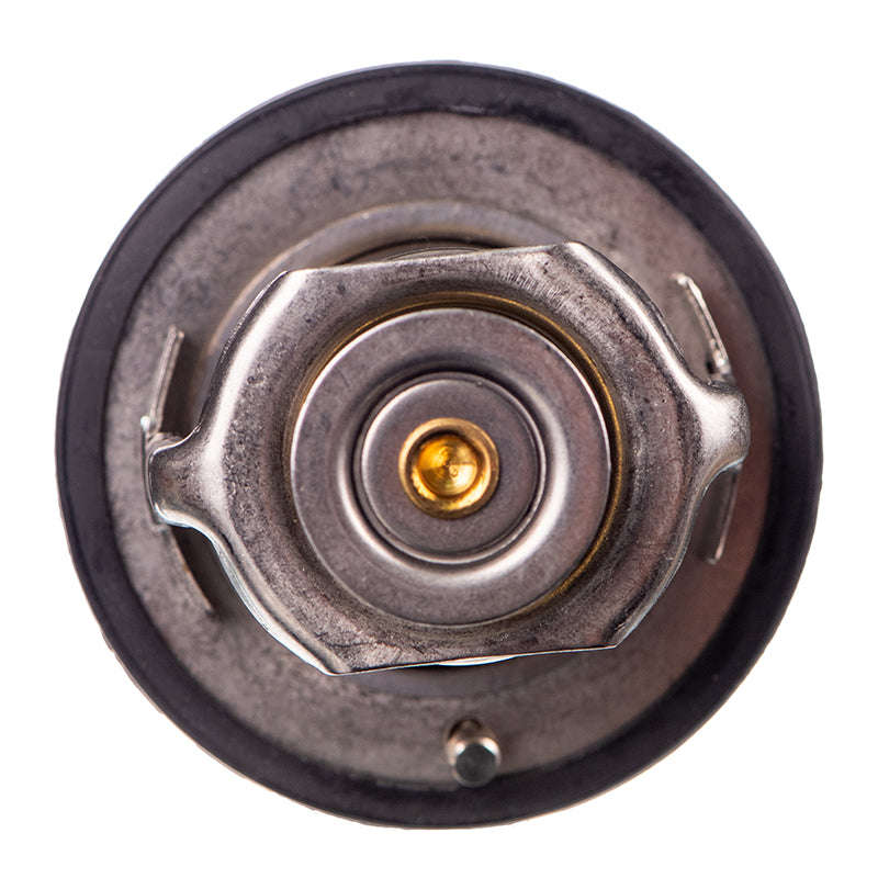 Thermostat - Tb5485 (Doe)