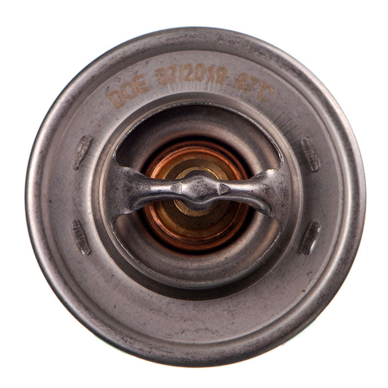 Thermostats - Tb5487 (Beta)