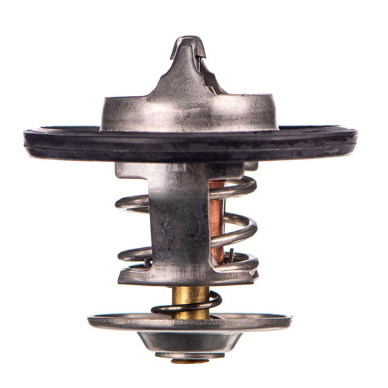 Thermostat - Tb5487Rg (Doe)