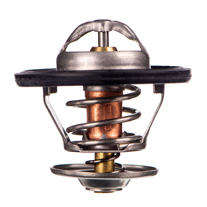 Thermostat - Tb5487Rg (Doe)