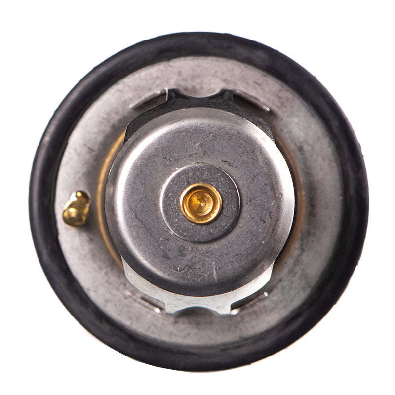 Thermostat - Tb5488 (Doe)