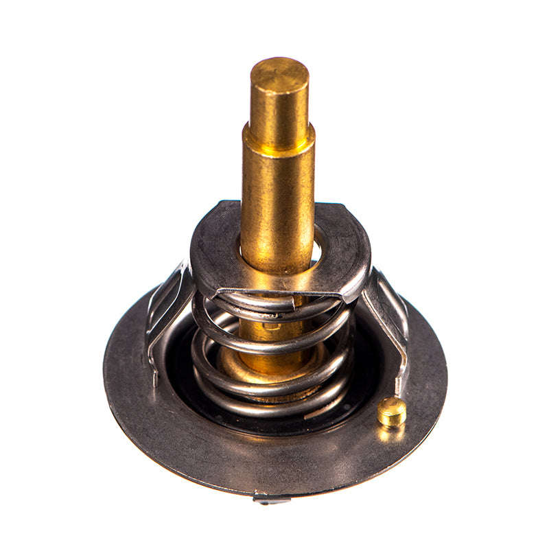 Thermostat - Th4890