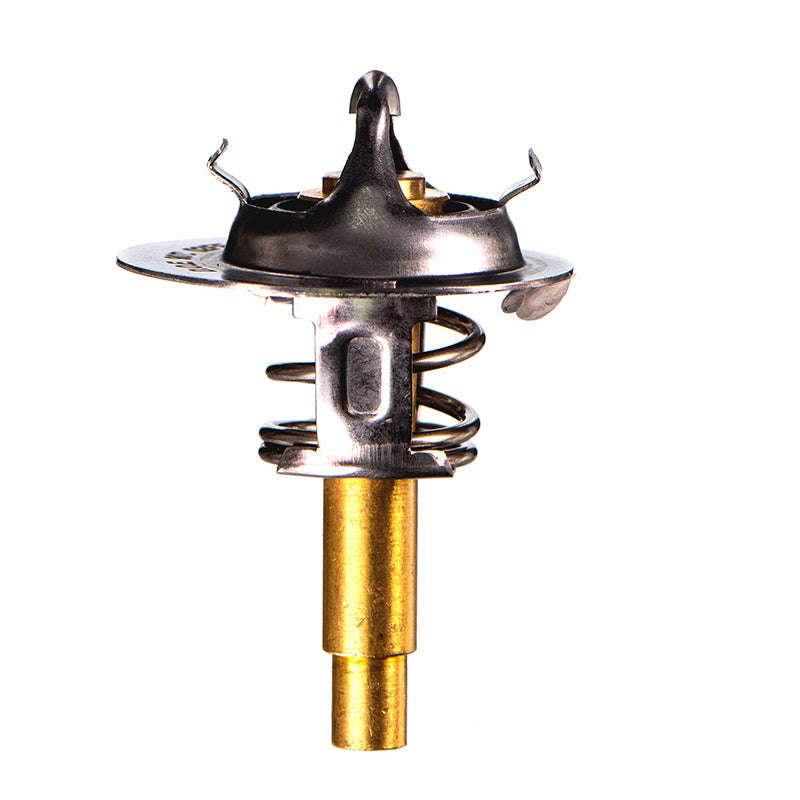 Thermostat - Th4890