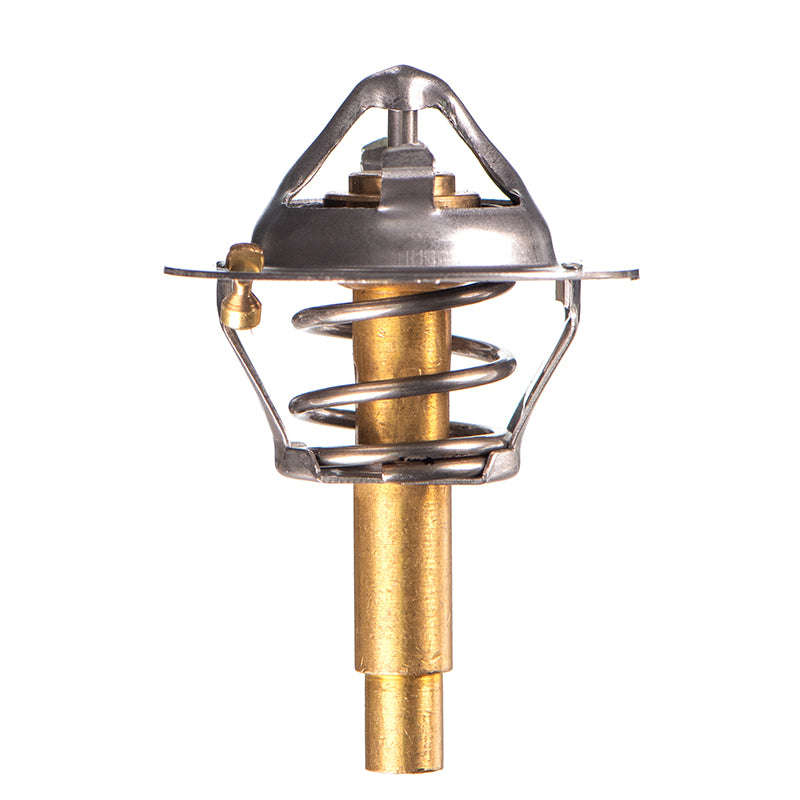 Thermostat - Th4890