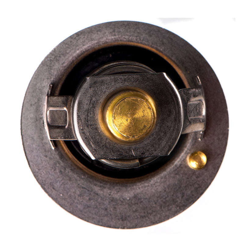 Thermostat - Th4890