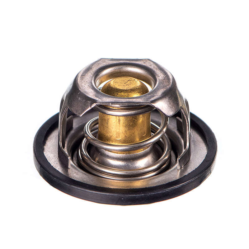 Thermostat - Ts5089 (Doe)
