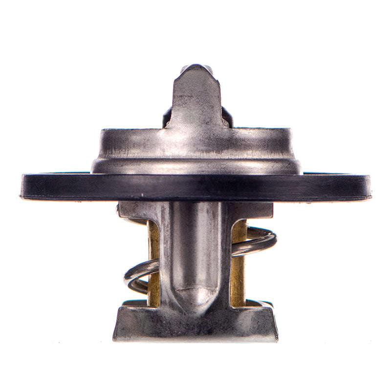 Thermostat - Ts5089 (Doe)